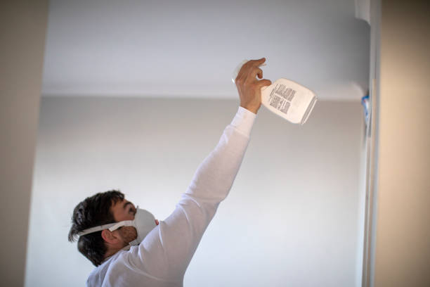 Best Home Mold Removal  in St Cloud, MN