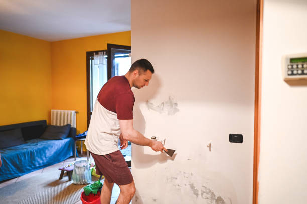 Best Mold Testing  in St Cloud, MN